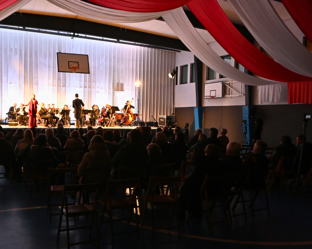 una-nit-a-opera-camerata-granados (12)