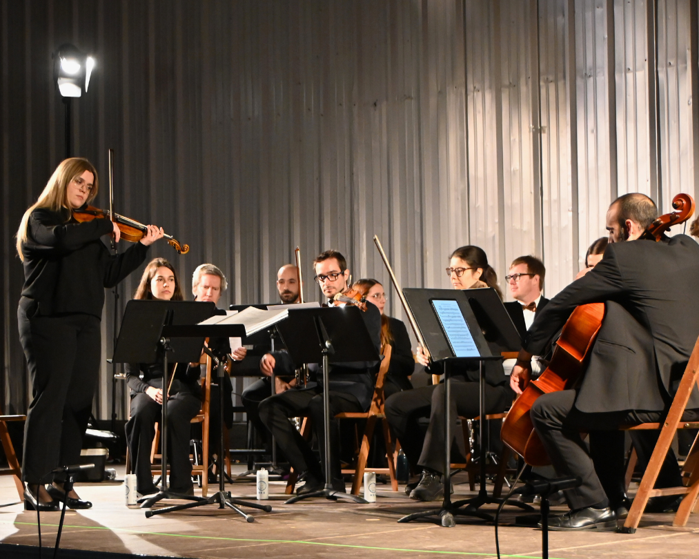 una-nit-a-opera-camerata-granados (2)