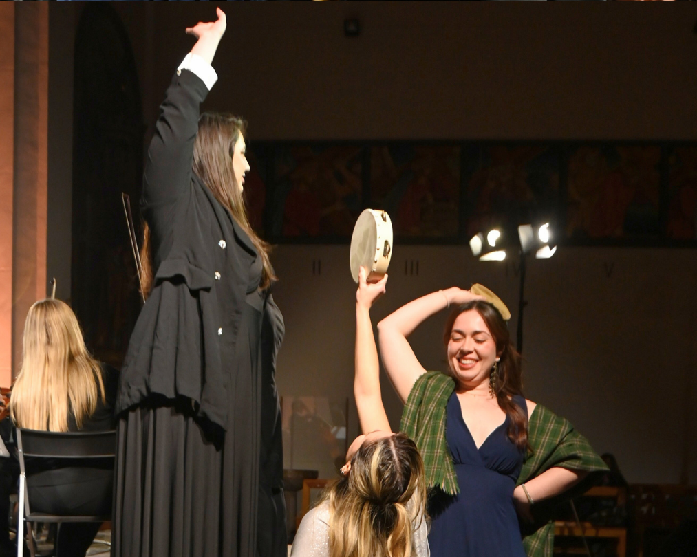 una-nit-a-opera-camerata-granados (20)