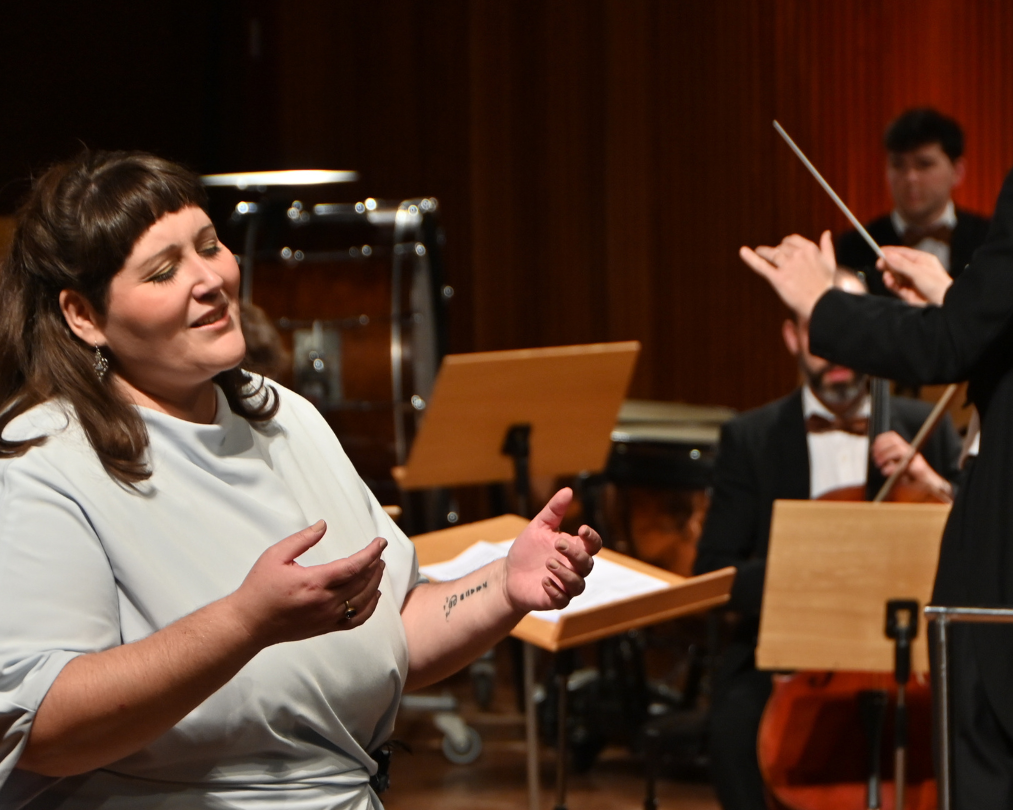 una-nit-a-opera-camerata-granados (26)