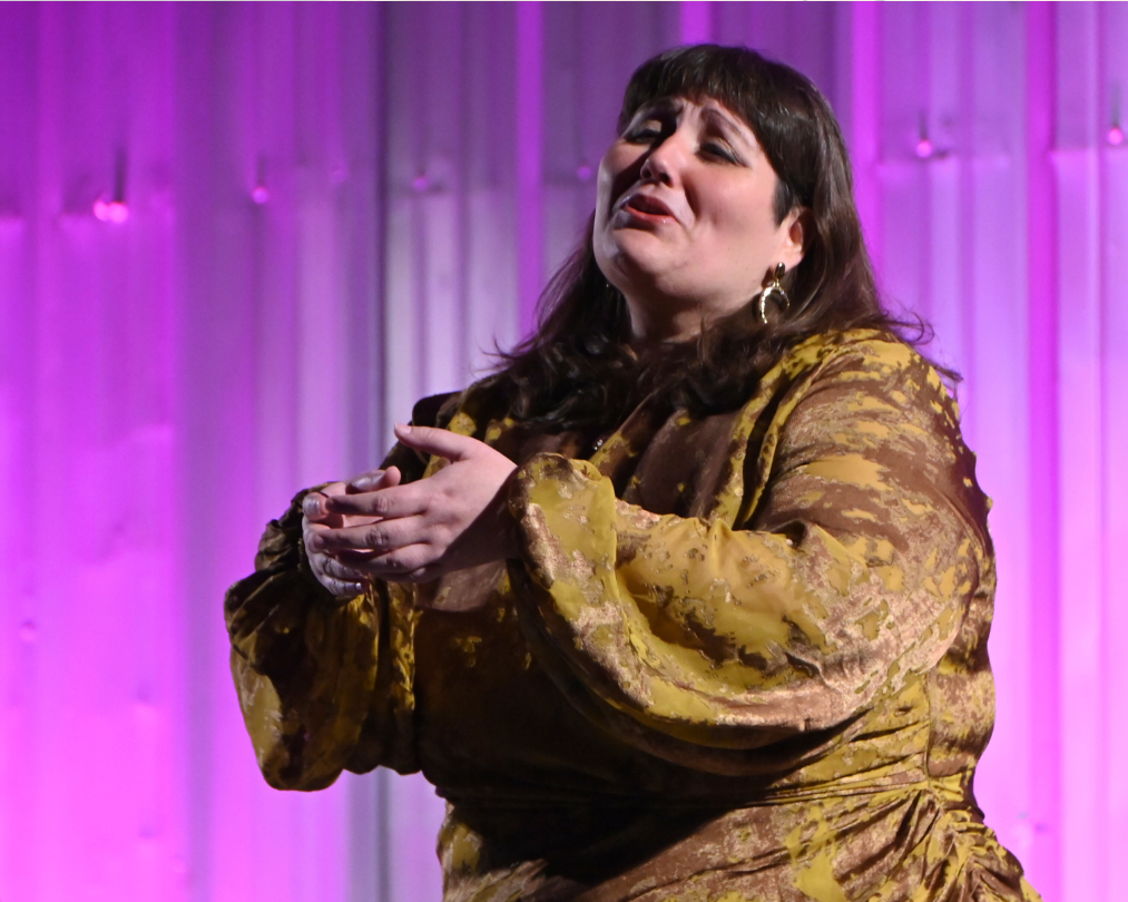 una-nit-a-opera-camerata-granados (3)