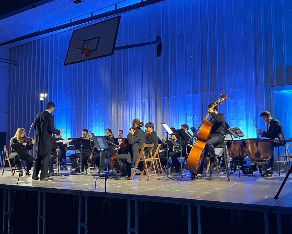 una-nit-a-opera-camerata-granados (9)