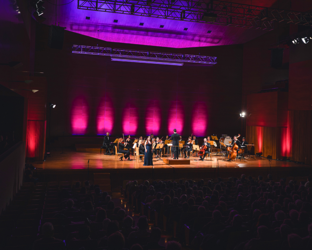 RECULL_UNA NIT A L'OPERA (28)