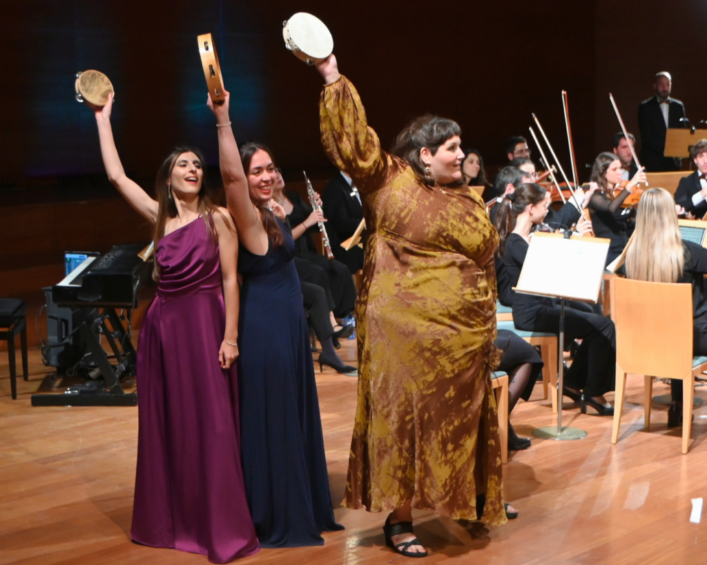 RECULL_UNA NIT A L'OPERA (30)