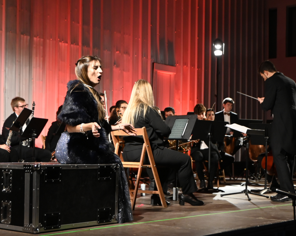 RECULL_UNA NIT A L'OPERA (8)